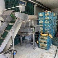 میوه خشک موژان