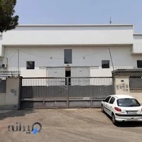 زیره کفش روژا