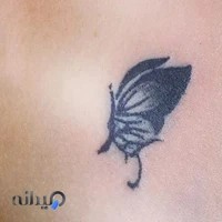 تاتو بانوان پرند