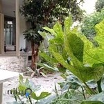 آموزشگاه هنری هفت رنگ طین