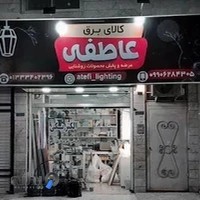 الکتریکی عاطفی