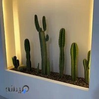 سارا فیض بیوتی لانژ