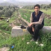 مجتمع صفایی‌پور