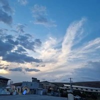 کارخانه روغن کشی و بسته بندی زیتون فرآیند آریا