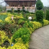 باغ سوییت آرامش