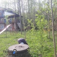 باغ رستوران کوهپایه