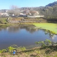 گردشگری سیاوش