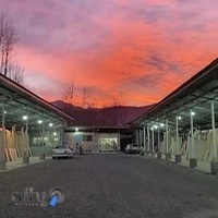 سنگ سعید املش