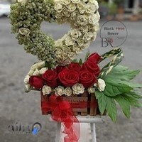 گلکده ی رز مشکی Blackrose Flower