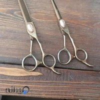 پیرایش عامر