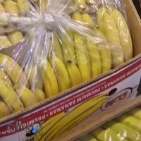 میوه سرای جاوید