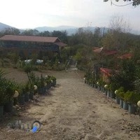 باغ رستوران شب نشین