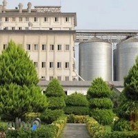 شرکت آرد تجارت