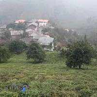 اقامتگاه بومگردی بام املش