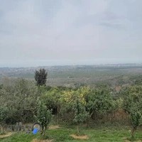 قاسم اباد سفلی