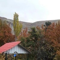 دفتر پیمانکاری آریا پوشش