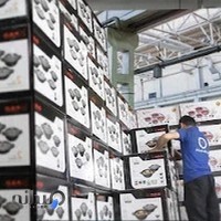 کارخانجات نالینو