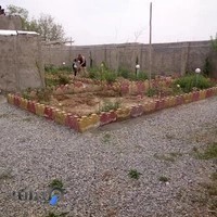 قالیشویی نقش جهان