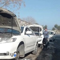 جلوبندی خودرو مهدی ریاحی