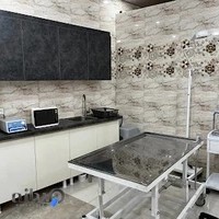 کلینیک دامپزشکی آباریس