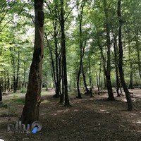 مجموعه تفریحی اقامتی و گردشگری فانوس رویان