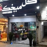 گل فروشی میخک