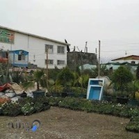 موسسه گل و گلدان راین