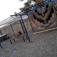 قالیشویی مروارید