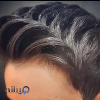 پیرایش عالیجناب