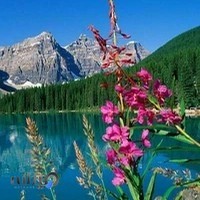 چاپخانه شهریار