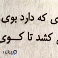 شرکت توریستی وسیاحتی زیارتی نیکان