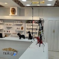 موبایل پیشگام+شعبه دوم