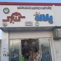 پروتئین برادران سارانی