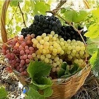 دفتر فنی مهندسی استانه