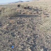 مطب دکتر حیدری مکرر