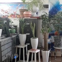 Parse Academy آموزشگاه کامپیوتر پارسه