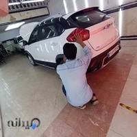 تشخیص رنگ امیران