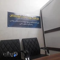 خرید کنجد پاکستان - بازرگانی پوریا تجارت بلوچستان