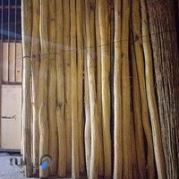 صنایع چوب صنوبر