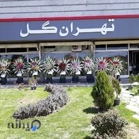 تهران گل