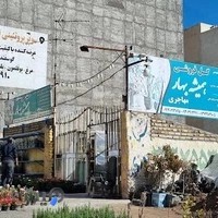 گل فروشی همیشه بهار