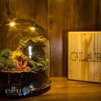 فروشگاه گل گلاریس