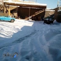 موسسه حمل و نقل پیک جاوید