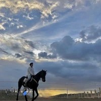 باشگاه سوارکاری چاپار