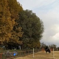 سوارکاری اسوارن