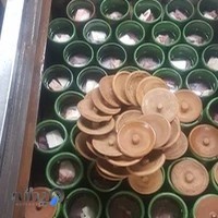 دیزی سرا حسن(چوب فروشان)