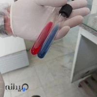 بیمارستان آموزشی ودرمانی روانپزشکی شهید دکتر بهشتی