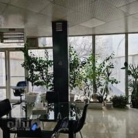 طباخی بره سفید