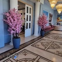 پارسیان صدف