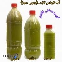 آبمیوه بستنی ائلشن